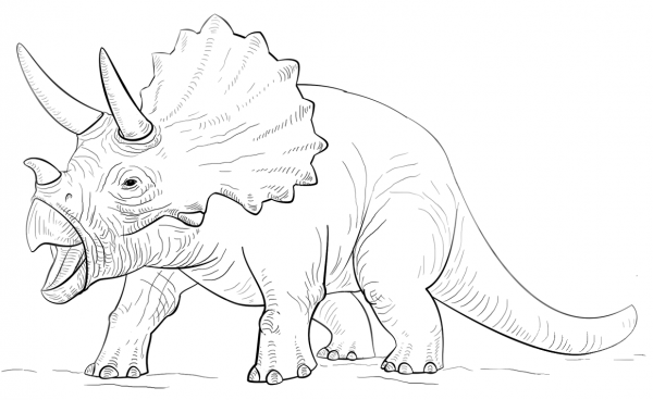 Triceratop dinosaur coloring page image
