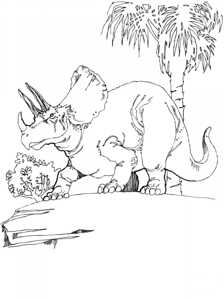 Triceratops coloring page image