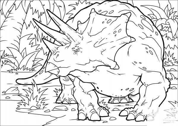 Triceratops Dinosaur coloring page image