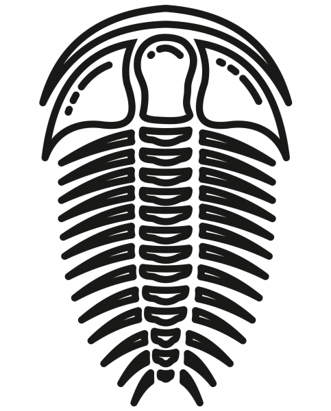 Trilobite Fossil coloring page image