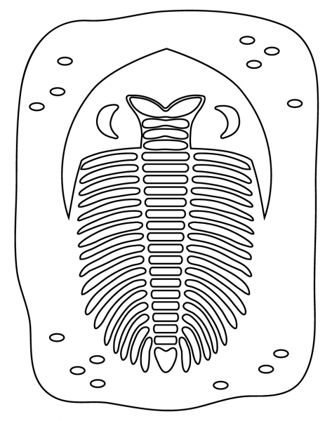 Trilobite Fossil coloring page image