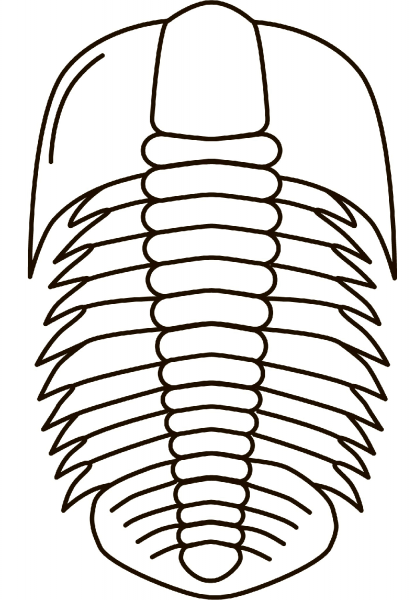 Trilobite Fossil coloring page image