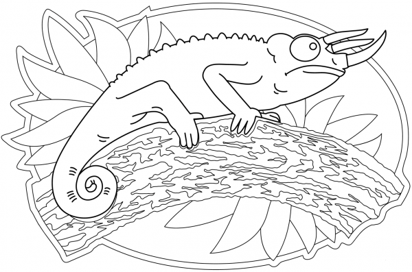 Trioceros Chameleon coloring page image