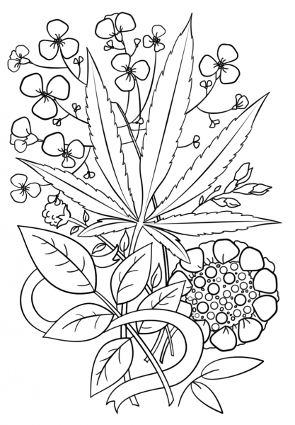 Trippy Weed coloring page image