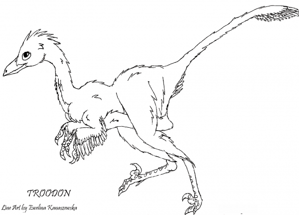 Troodon Dinosaur coloring page image