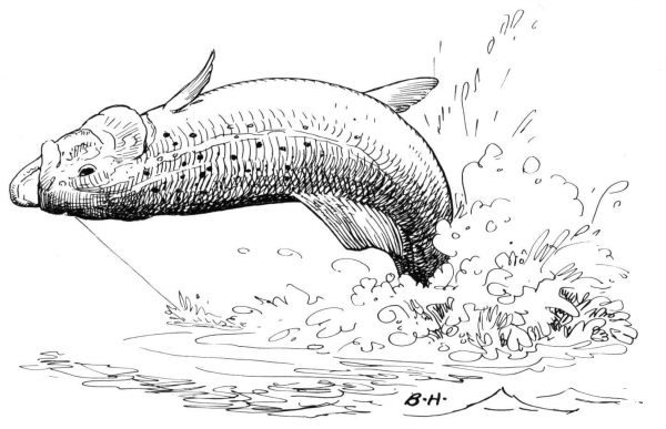 Trout Jump 2 coloring page image