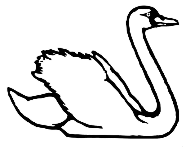 Trumpeter Swan coloring page image