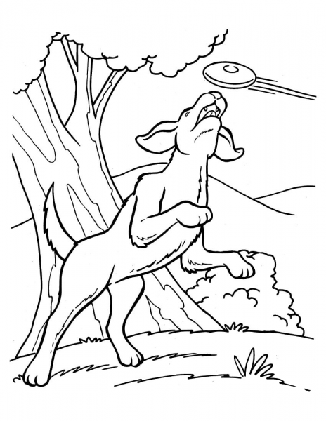 Trying to Get the Frisbee coloring page image