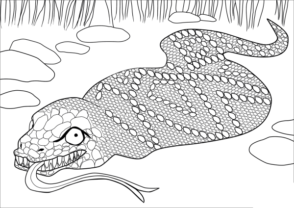 Tsuchinoko coloring page image