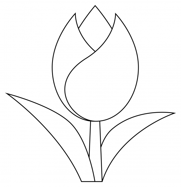 Tulip coloring page image