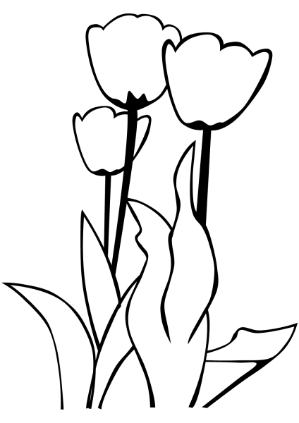 Tulips coloring page image