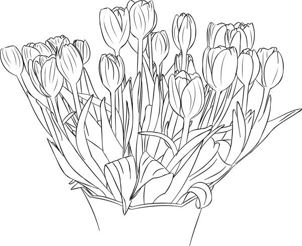 Tulips coloring page image