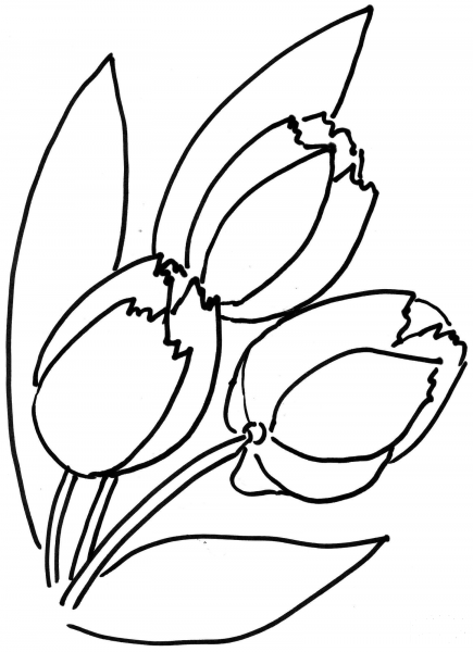 Tulips Flower  coloring page image