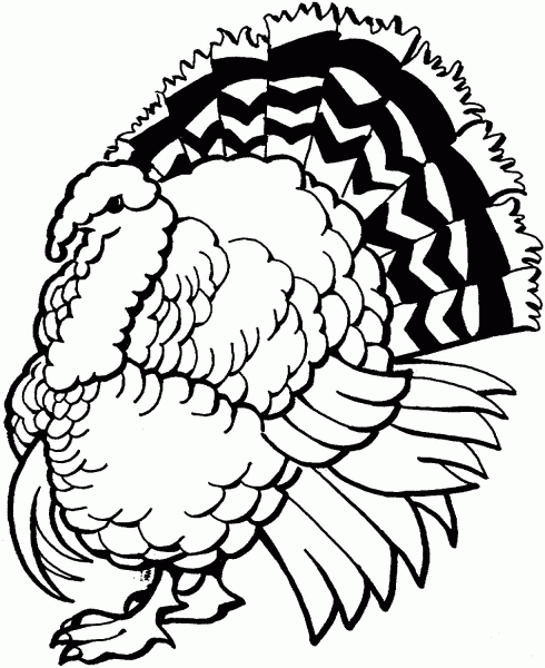 Turkey coloring page image