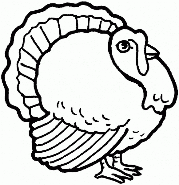 Turkey coloring page image