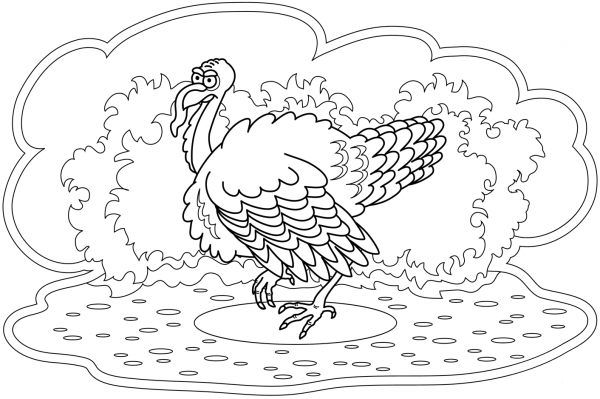 Turkey coloring page image