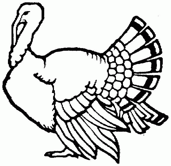 Turkey coloring page image