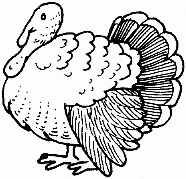 Turkey coloring page image