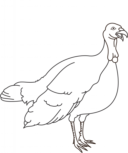 Turkey coloring page image