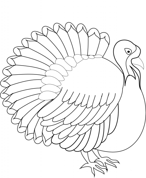 Turkey coloring page image