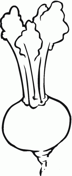 Turnip coloring page image