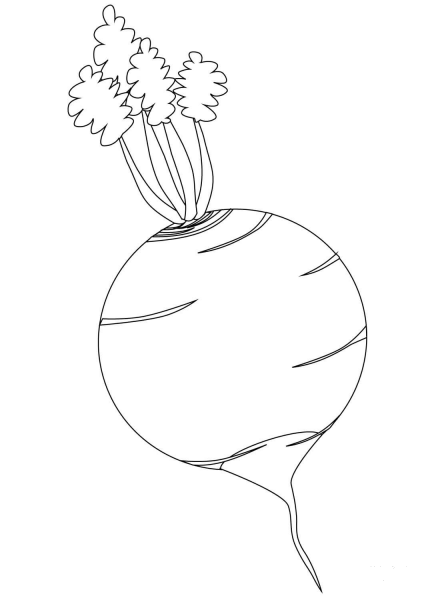 Turnip coloring page image