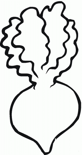 Turnip coloring page image