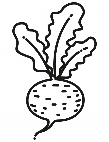 Turnip coloring page image