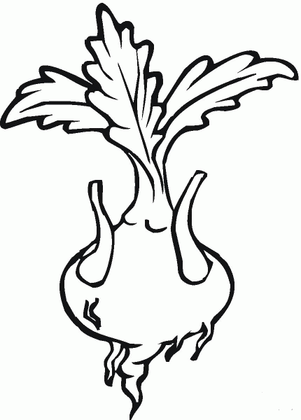 Turnip coloring page image