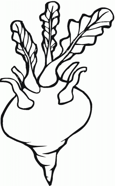 Turnip coloring page image