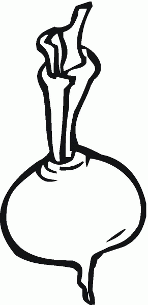 Turnip coloring page image