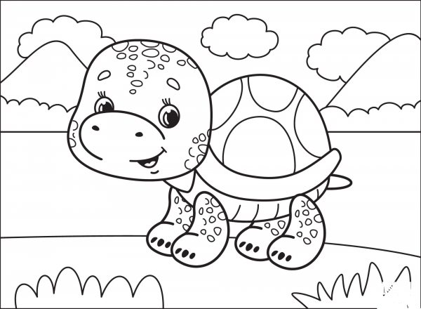 Turtle coloring page image