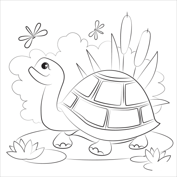 Turtle coloring page image