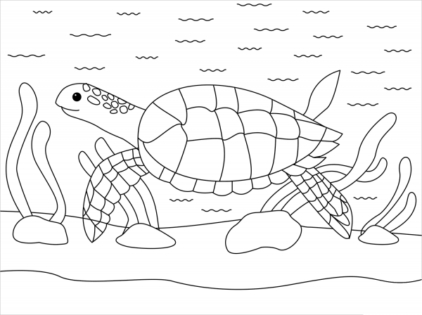 Turtle coloring page image