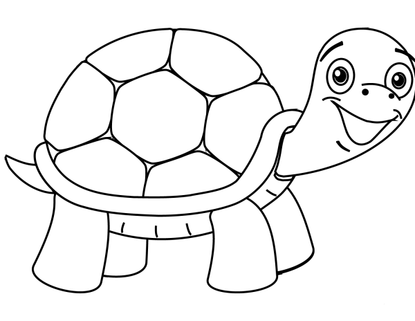 Turtle coloring page image