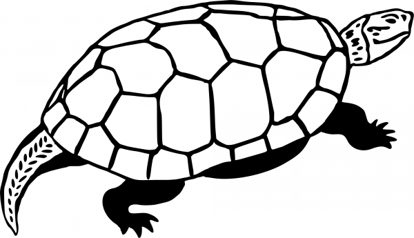 Turtle coloring page image