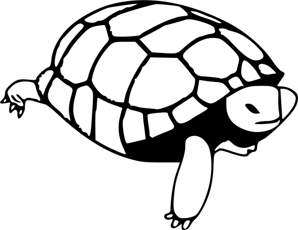 Turtle Crawling Line Art coloring page image