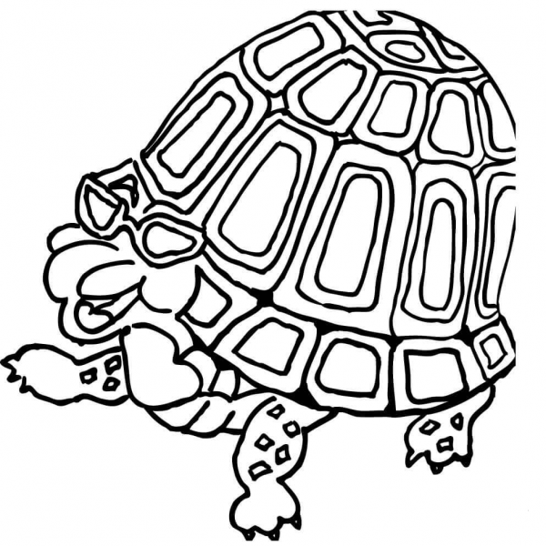 Turtle in Glasses  coloring page image