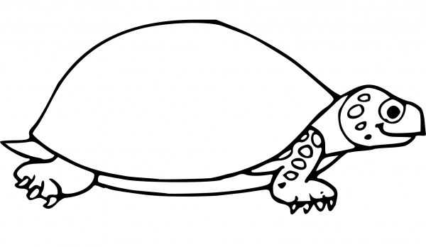 Turtle Side Outline coloring page image