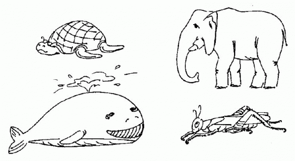 Turtle, Whale, Elephant and Grasshopper coloring page image