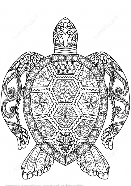 Turtle Zentangle coloring page image