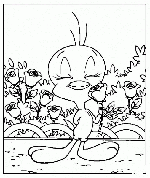 Tweety in the Garden coloring page image