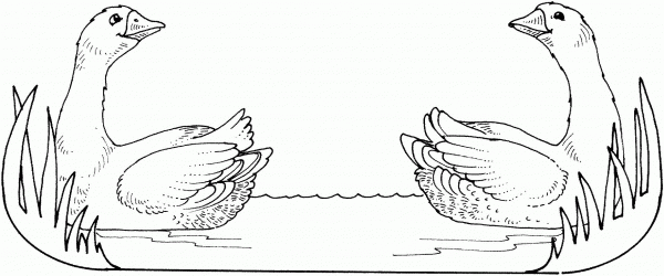 Twin Geese coloring page image