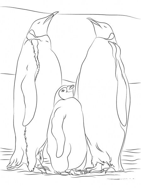 Two adult Emperor Penguins with a juvenile coloring page image