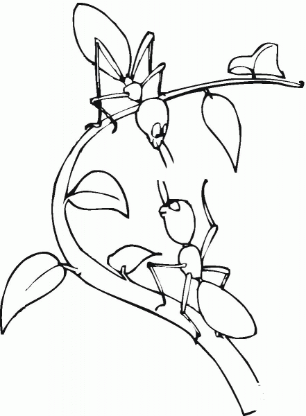 Two Ants On The Tree Branch coloring page image