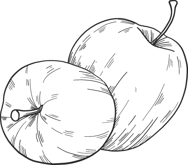 Two Apples coloring page image