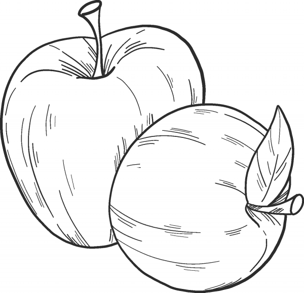 Two Apples coloring page image
