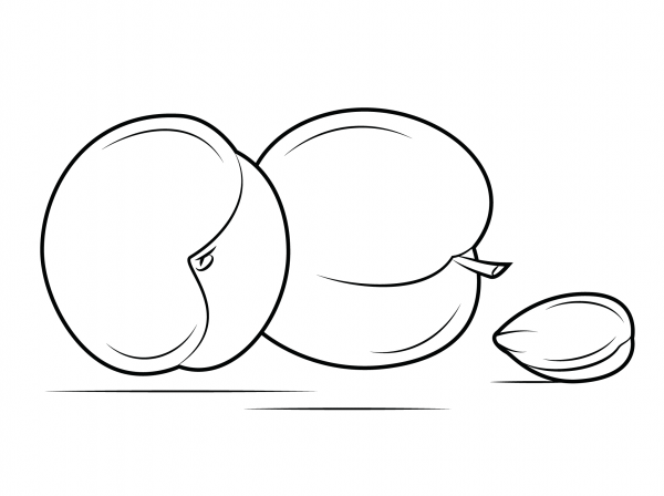 Two Apricots and Seed coloring page image