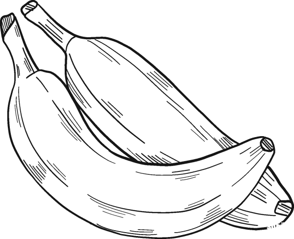 Two Bananas coloring page image