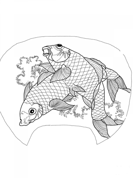 Two Carps by Katsushika Hokusai coloring page image